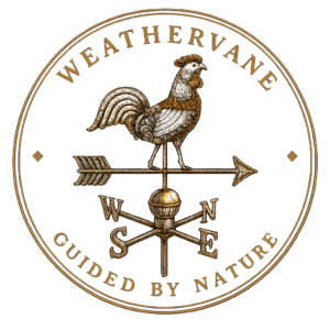 Weathervane guided by nature logo
